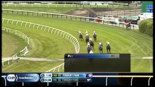 Elucidate 4Th - Rotorua - 7Th Nov 2014