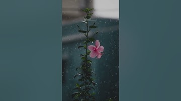 فَٱرۡجِعۡنَا نَعۡمَلۡ صَٰلِحًا | آيات من سورة السجدة بصوت القارئ احمد خضر
