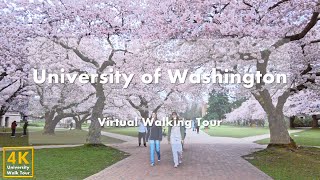 มหาวิทยาลัยวอชิงตัน (University of Washington) - ทัวร์เดินเสมือนจริง [4k 60fps]