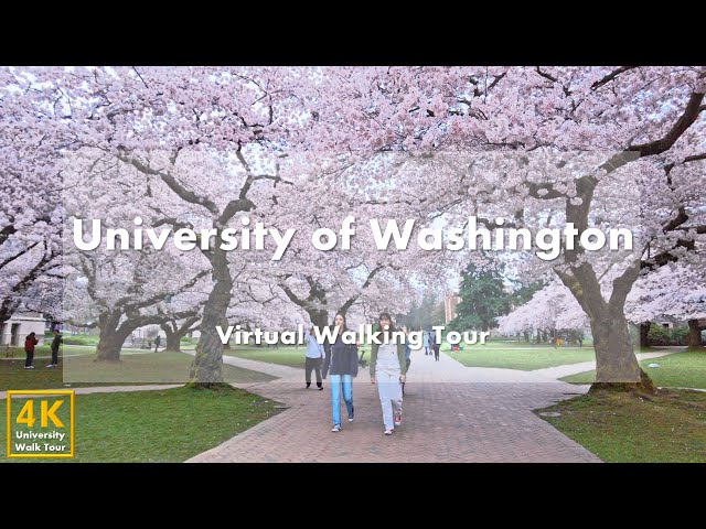 University of Washington - Virtual Walking Tour [4k 60fps] class=