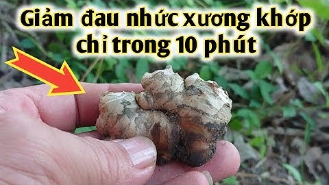 Giảm Đau nhức xương khớp trong 10 phút. Bài thuốc trị Viêm khớp, sưng khớp, đau khớp, thoái hóa