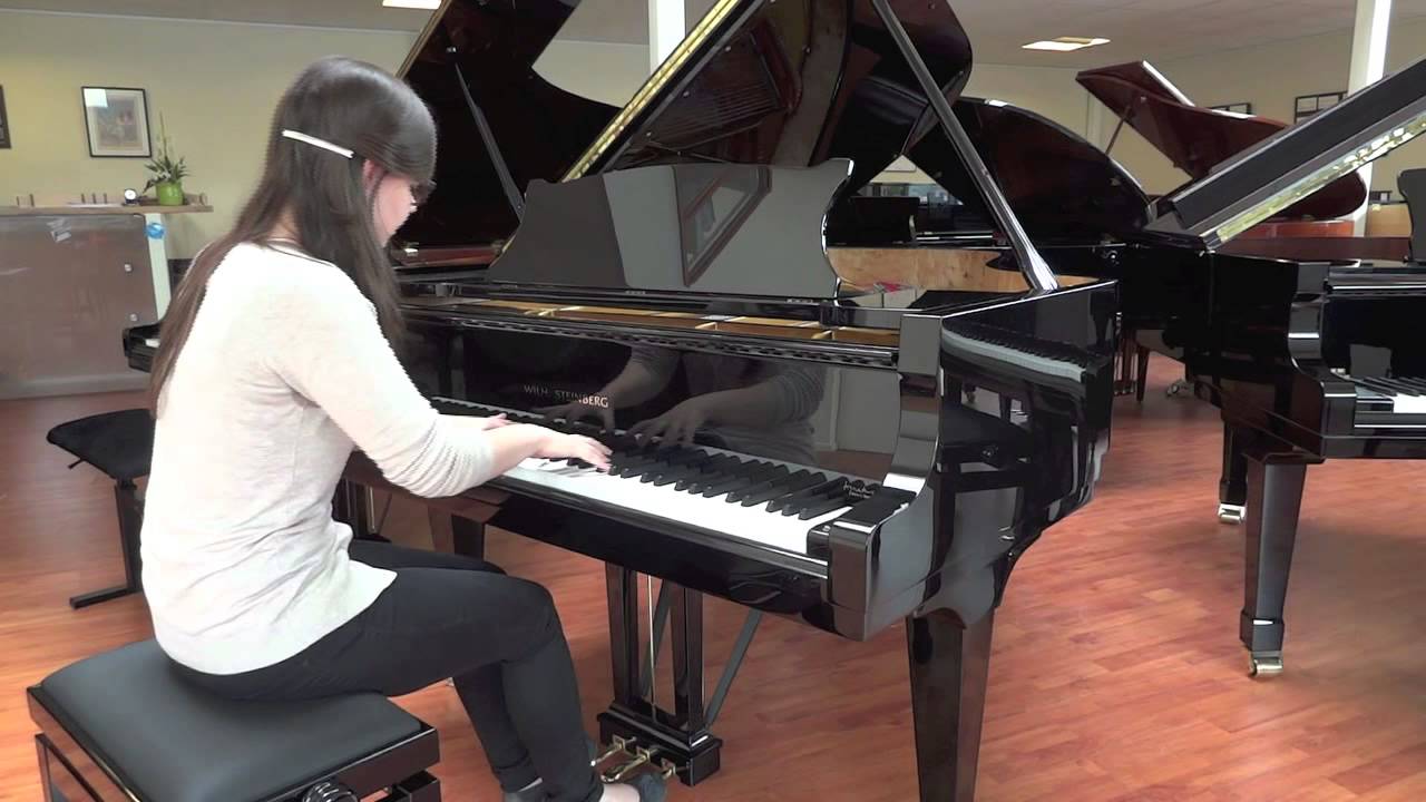 Piano's Verhulst, Wilh. Steinberg Signature 188. Debussy Prelude V Preludes II Bruyeres