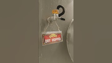 The moment everyone waits for. Grab your own Celebration Fresh Hop IPA and enjoy the season with us!