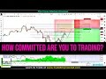 FOREX TRADING - How Committed Are You To Trading?