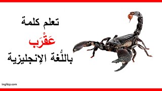 عقرب باللغة الإنجليزية l سلسلة أسماء الحيوانات بالإنجليزية