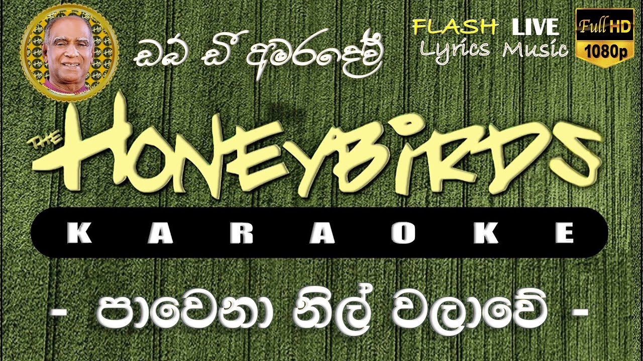 Pawena Nil Walawe Karaoke (Without Voice) පාවෙනා නිල් වලාවේ කැරෝකේ