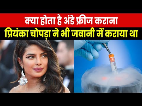 What is Egg Freezing | प्रियंका चोपड़ा ने करवाई थी एग फ्रीजिंग, क्या हैं इसके फायदे और नुकसान ?