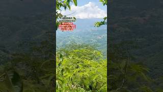 Así reverdece Capulatengo y Tierra Caliente después de 2 meses de lluvia // EDOMEX DESCONOCIDO