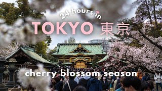 1 DAY IN TOKYO | cherry blossoms, things to do & hidden gems 🌸⛩️🇯🇵