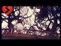 أجمل اغنيه كردية حزينه باوار بكا كلك شتا غريبم عبد القهار 