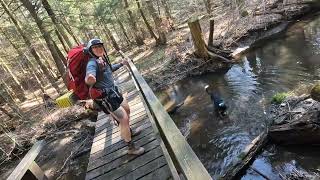 Birthday Backpacking w/ Dogs & Beautiful Spring Weather, Chautauqua County NY, April 12, 2023 #wny