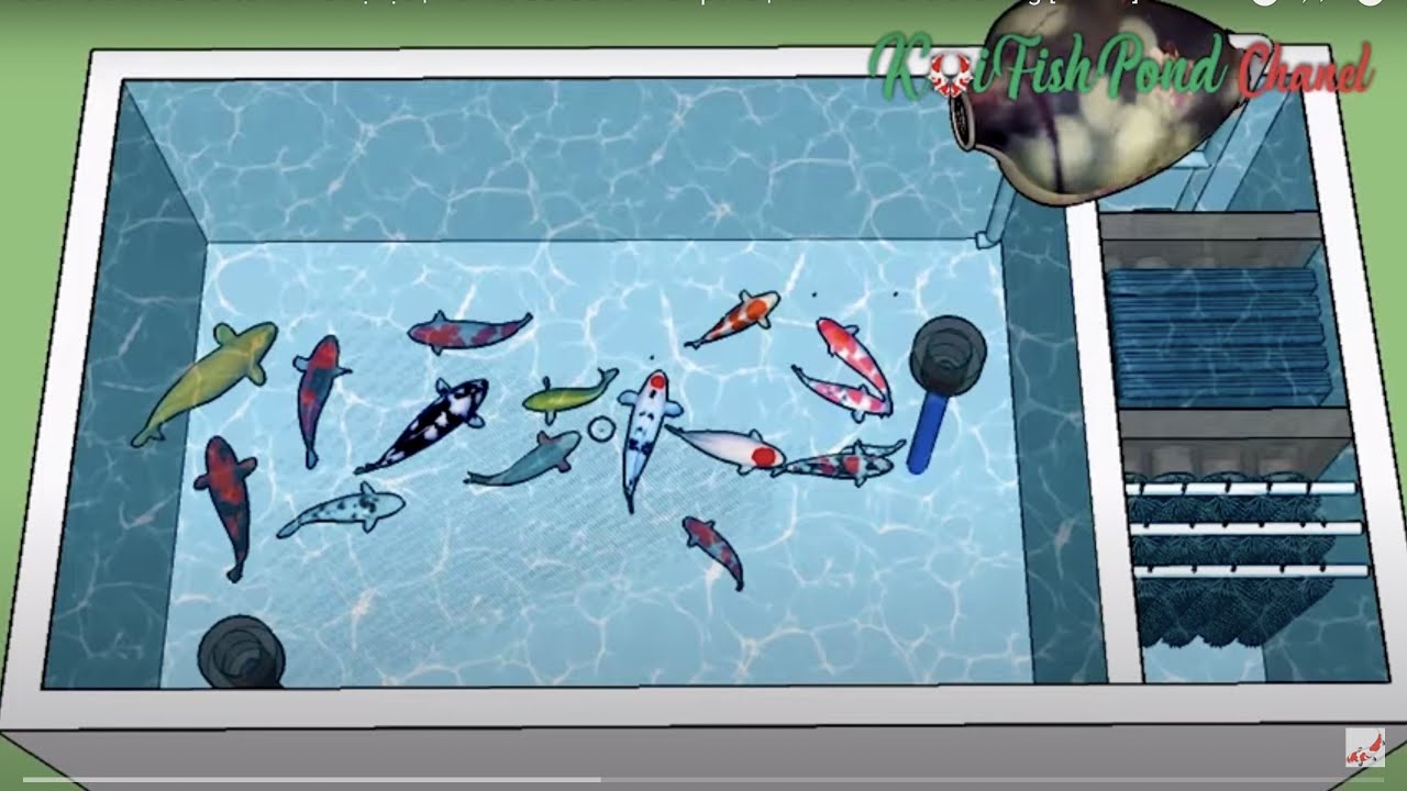 Cách Xây Hồ Cá Koi Đơn Giản Bằng Bản Vẽ 3D Đầy Đủ Bộ Lọc | How To Build A  Koi Fish Pond - Youtube
