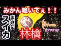 バナナかと思ったら、みかんかと思ったら、リンゴだった時の戌神ころね