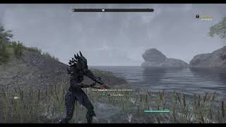 Elder Scrolls Online Blackwood First Companion Mirri Elendis Location