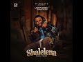 Umar Bobo Shalelena Official Track