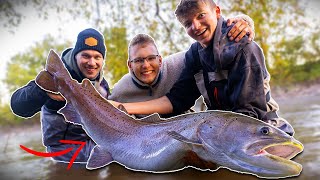 Monsterhuchen in kleinem Fluss gefangen!! - Short Film 4K