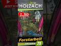 🌲 Forstarbeit in Holzach 🌲 11 🌲 #ls25 #fs25
