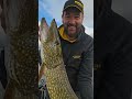 Best of des gros brochets 2023.#carnassier #fishing #lure #nokill #pike #sportex #lappland #nature