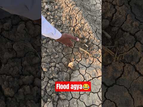 bhai ky ghar salab agya 😂😂😭😂 #funnyvideo #funny #viralvideo #comedy #unfrezzmyaccount