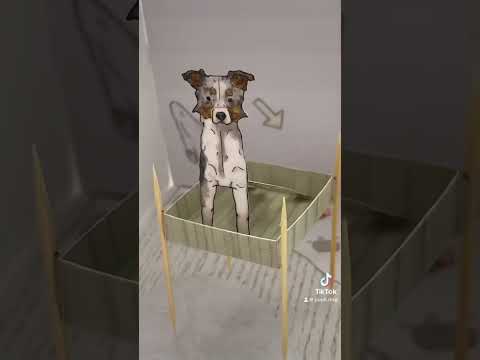 Пополняем домик бумажных собачек??