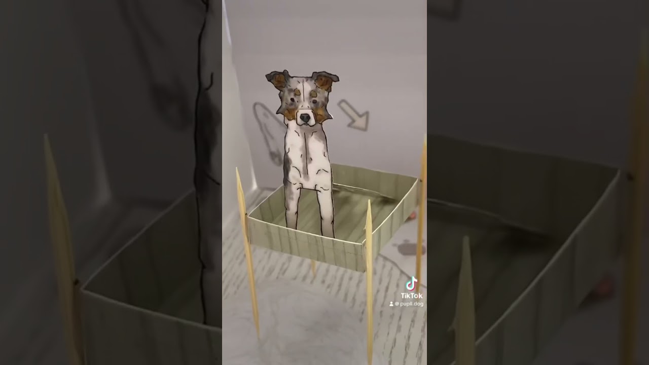 Пополняем домик бумажных собачек🏀🤍