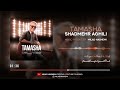 Shadmehr Aghili TAMASHA شادمهر عقیلی تماشا 