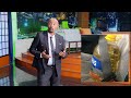 የመግቢያ ሞኖሎግ...ፍቅራችን ይብዛ....| Seifu on EBS