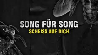 Local Bastards | SONG FÜR SONG - Scheiß auf dich (Feindbild)