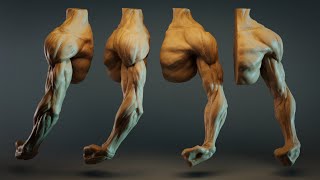 Eyes of Lamia - Arm sculpt, Supinated. 5400 Seconds in Zbrush. Timelapse.