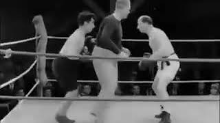 ديها زعيم ولا كريم ولا مرضي الوالدين سمعها