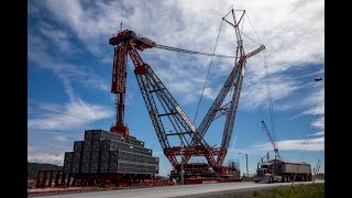 Top 5 Cranes In Action: See The World's Largest And Most Powerful Cranes At Work