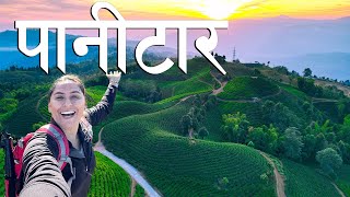 Exploring a Stunning Tea Garden || Panitar Ilam