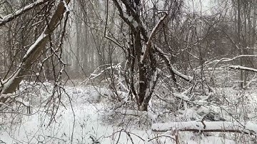 Kryptek Yeti Effectiveness Snow Camo Kryptek Yeti Overwhites