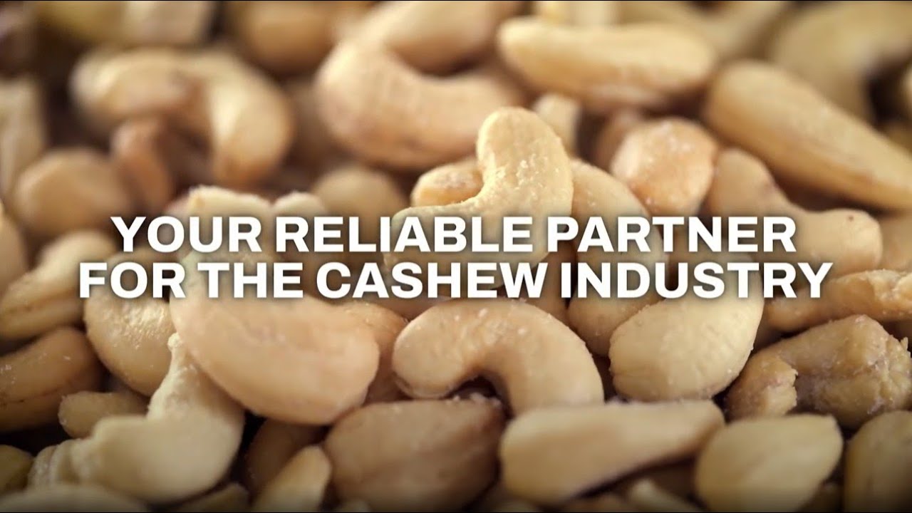 Shipping Cashews : Dry Cargo Container Shipping | MSC