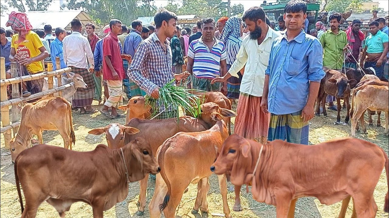 @আজ ৪ ফেব্রুয়ারী