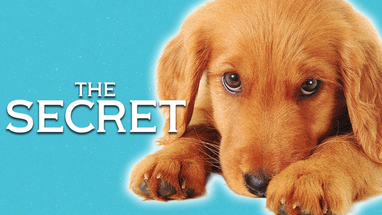 The Secret Behind Why Golden Retrievers Make the Best Family Dogs