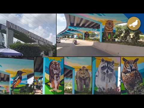 Animal paintings add color to Zoo Park–Aramgarh flyover - SIASAT
