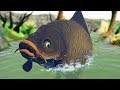 ГИГАНТСКИЙ КАРП МУТАНТ! ОБНОВЛЕНИЕ | Feed and Grow Fish