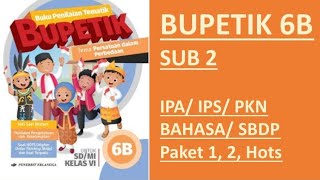 BUPETIK 6B - Sub 2 - IPA/ IPS/ BHS/ PKN/ SBDP/ Paket 1/ Paket 2/ HOTS