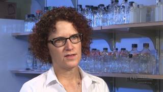Gail Robertson on the Wisconsin Institutes for Medical Research