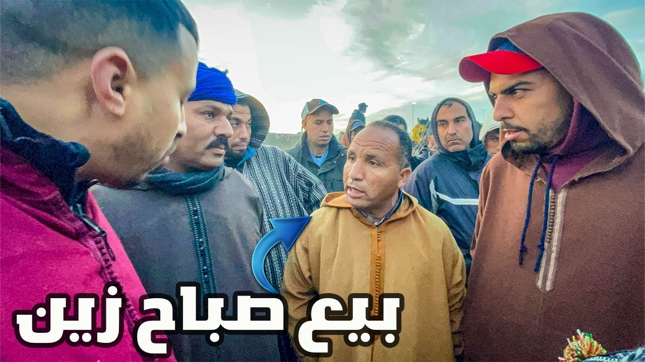 سوق الثلاثاء الخميسات عود زرق رخيص همزة او عود بركي قاطعو مولاه 10 ملايين