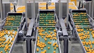 For The Wonderful Company, Emerging Tech is a Key Benefit of Cloud