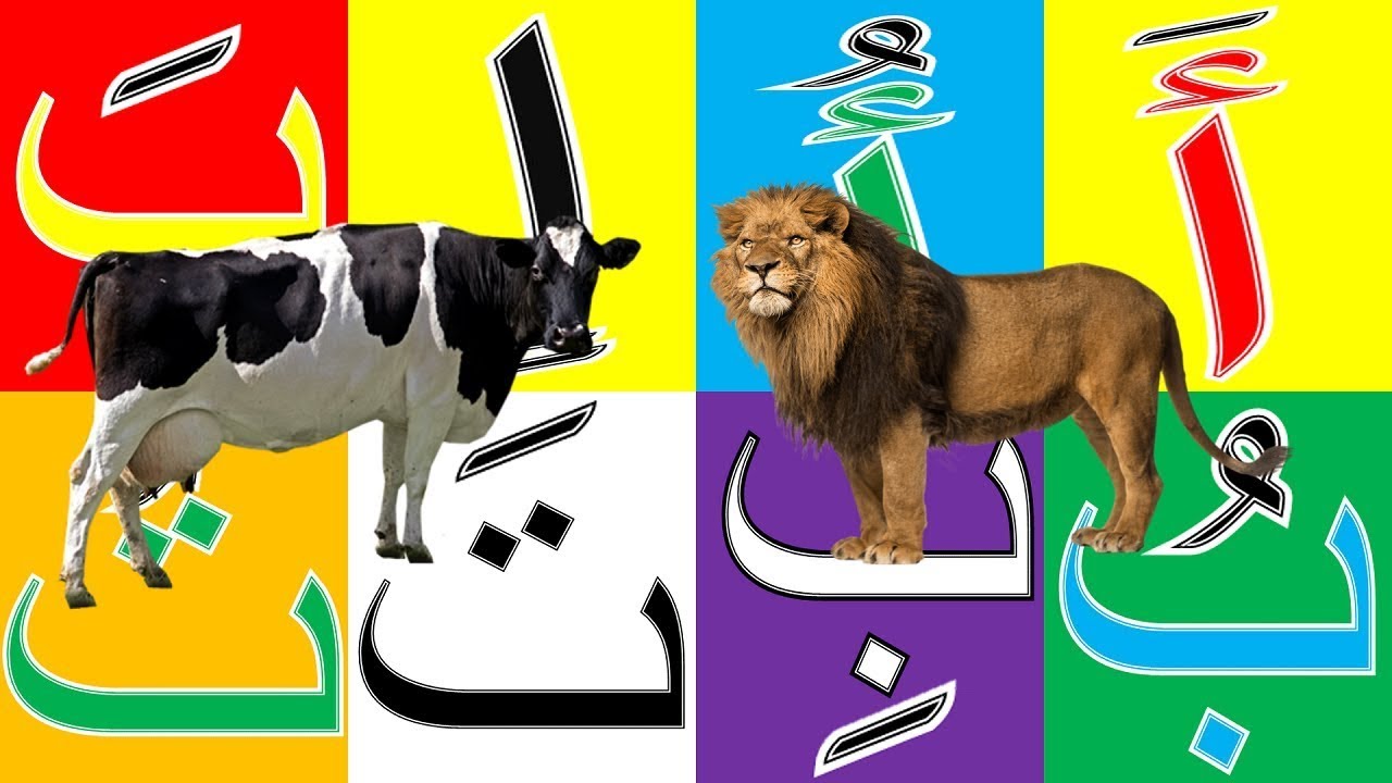 أغنية الحروف الهجائية بالحركات بدون موسيقى - ألف مثل أسد آ أو إي ...