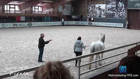 Comment gérer un cheval qui part : Jean-François Pignon délivre ses secrets avec les chevaux