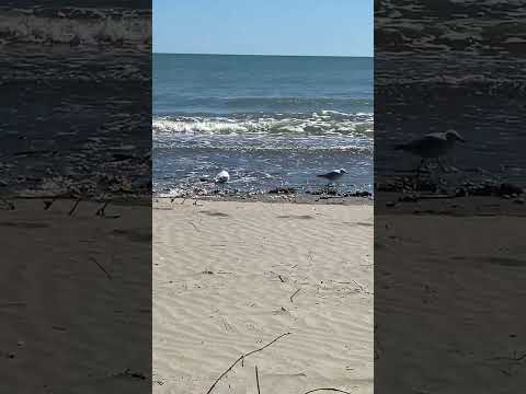 IMG 1019