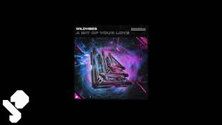 Wildvibes - A Bit Of Your Love (Extended Mix)