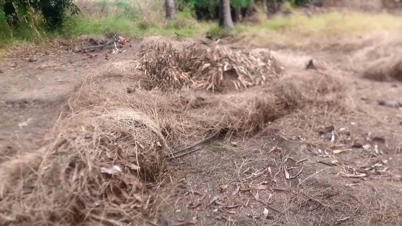 Morogoro kisaki vitu adimu sana 