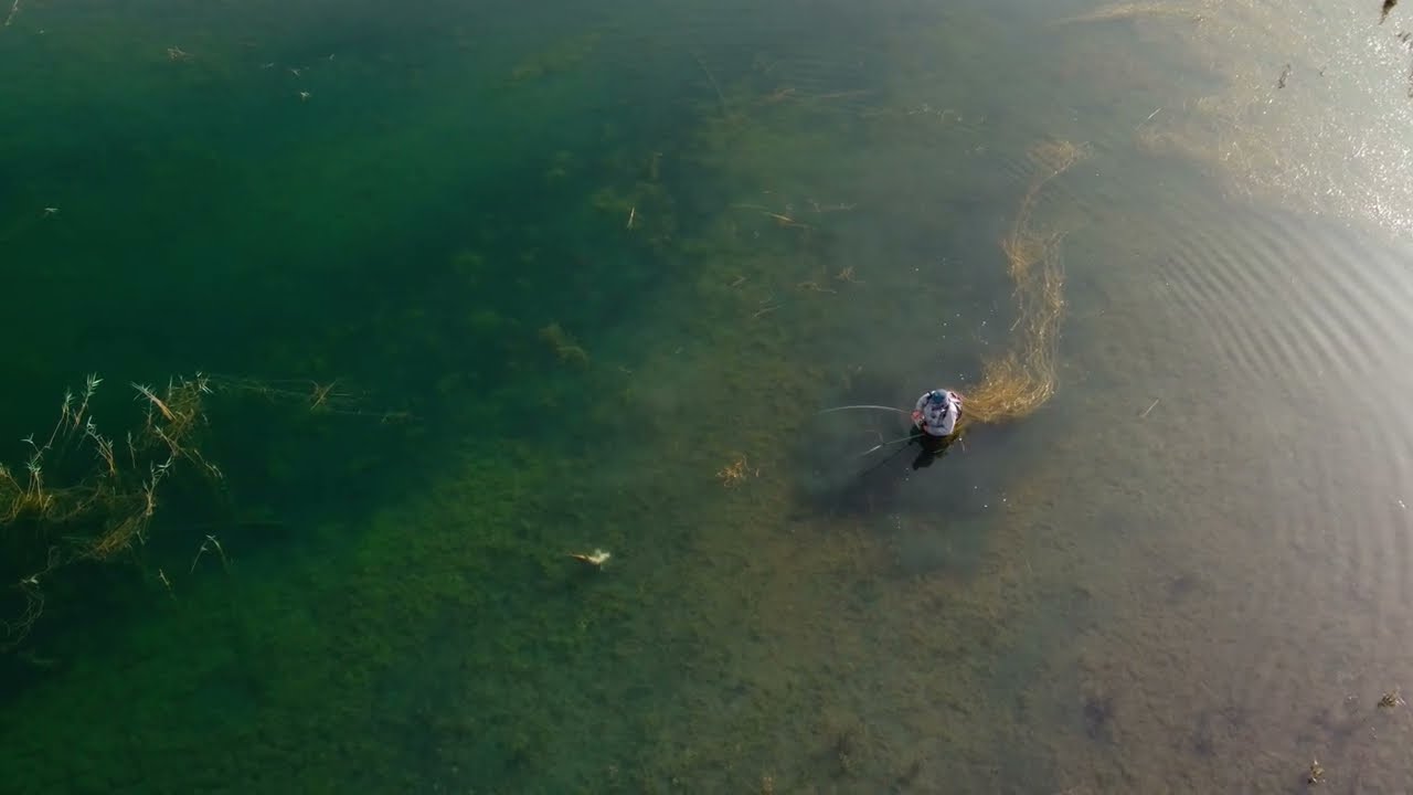 Fly Fishing Spain: Land Monster Barbel & Carp