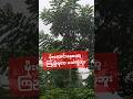 မိုးတွေစွေနေပြီ #experiencesharing #Raining