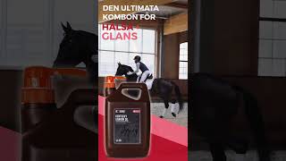 Foran Equine - KENTUCKY KARRON OIL